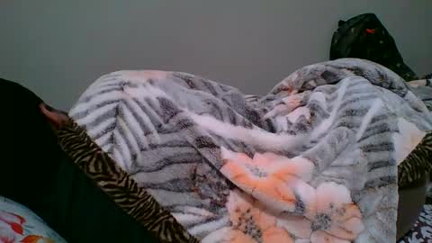 Snapshot of bighandsomesatisfy chatting on January 2025 08:18:01 PM bighandsomesatisfy online show from January 2025 08:18:01 PM