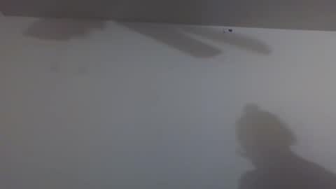 Snapshot of bighawaiislim chatting on March 2026 07:47:02 AM bighawaiislim online show from March 2026 07:47:02 AM