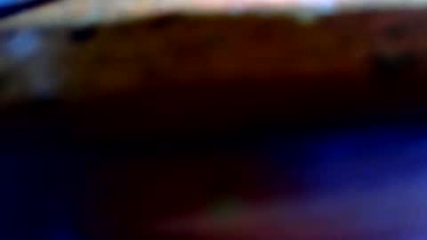 bigjack228787 online show from October 2025 07:05:02 PM