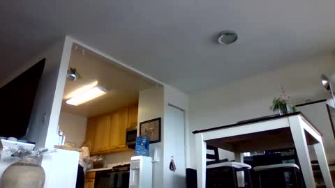 Snapshot of bigjoed233 chatting on January 2026 03:47:01 PM bigjoed233 online show from January 2026 03:47:01 PM