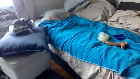 Snapshot of bigjoed233 chatting on March 2026 03:05:02 PM bigjoed233 online show from March 2026 03:05:02 PM