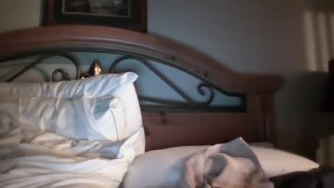 bigload1972 online show from January 2025 03:09:02 AM