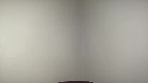 Snapshot of bigmcr1 chatting on February 2025 11:59:02 PM Nick Barker online show from February 2025 11:59:02 PM