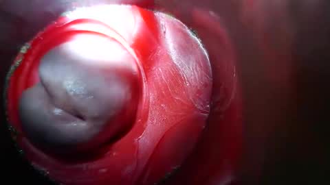 bigmoneycorey online show from March 2026 03:50:01 PM