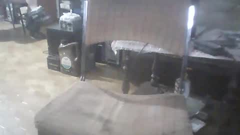 Snapshot of bigpenix chatting on February 2026 01:13:02 AM bigpenix online show from February 2026 01:13:02 AM