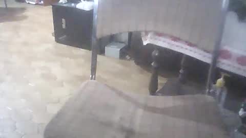 Snapshot of bigpenix chatting on April 2026 01:39:01 AM bigpenix online show from April 2026 01:39:01 AM