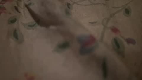 Snapshot of bigpoppadutch666 chatting on January 2026 12:53:01 PM bigpoppadutch666 online show from January 2026 12:53:01 PM