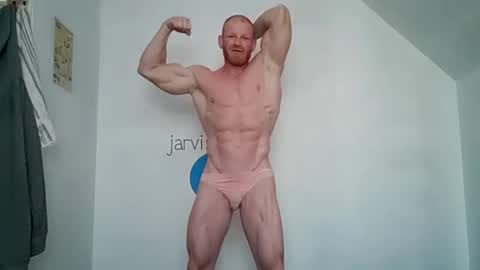 Jarvis online show from December 2024 03:19:01 PM