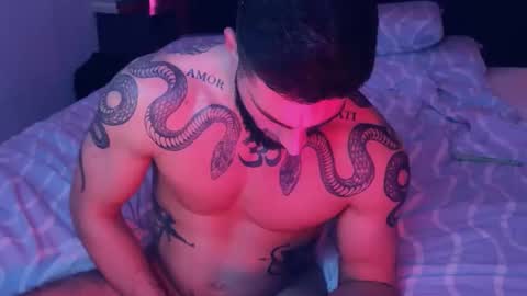 Gogo online show from February 2026 07:06:02 PM