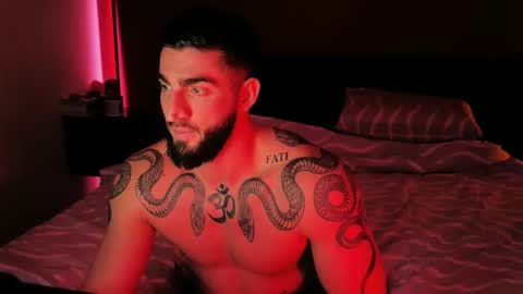 Gogo online show from February 2026 03:04:01 PM