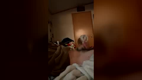 bigsteph16 online show from July 2026 01:17:02 PM