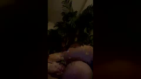 bigtitopal online show from January 2026 07:34:02 AM