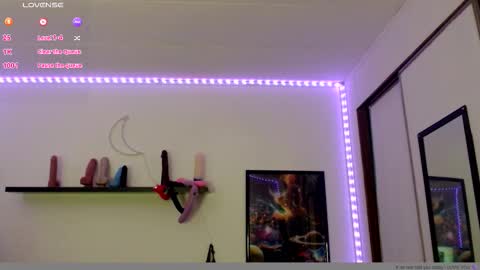 Nichole lights online show from November 2025 11:17:01 PM