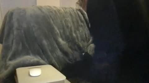 Snapshot of bigwhitedickdaddy69 chatting on February 2026 11:50:01 AM Bigwhitedickdaddy and BabyCakes online show from February 2026 11:50:01 AM