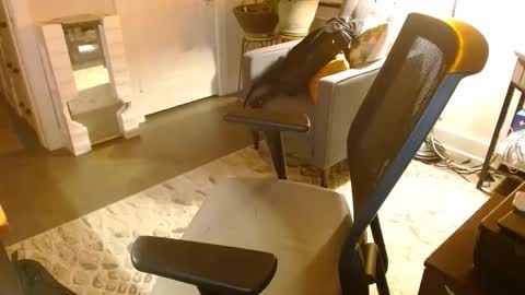 Snapshot of bijockdadohio chatting on March 2026 05:18:01 AM Jeff online show from March 2026 05:18:01 AM