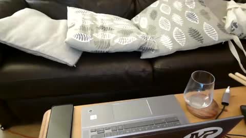 bindmedown online show from February 2025 11:13:02 PM