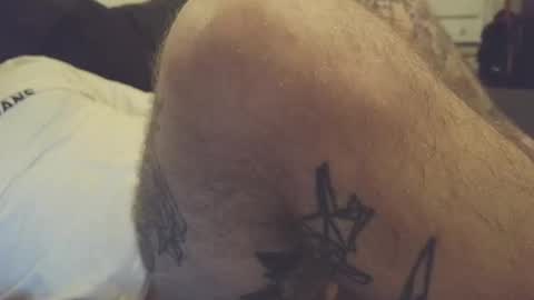 bird_0f_hermes online show from February 2026 09:02:02 PM