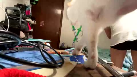 Snapshot of bisexmangenx chatting on November 2025 08:07:01 PM Manu O online show from November 2025 08:07:01 PM