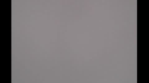 bivi  hot online show from March 2025 01:12:01 PM