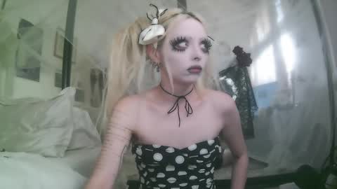 vampire fang  online show from December 2025 06:26:01 PM