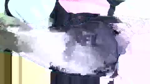 black_berry9 online show from March 2026 05:44:01 AM