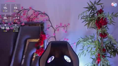 B L A C K  R O S E  online show from December 2025 11:30:02 AM