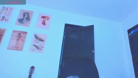 Snapshot of black_skull22 chatting on January 2026 01:20:01 AM Bryan online show from January 2026 01:20:01 AM