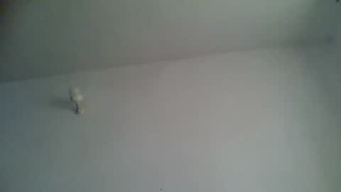 Snapshot of blackafrica2023 chatting on November 2025 05:27:02 AM black african online show from November 2025 05:27:02 AM