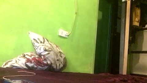 Crystal online show from April 2026 07:58:01 PM