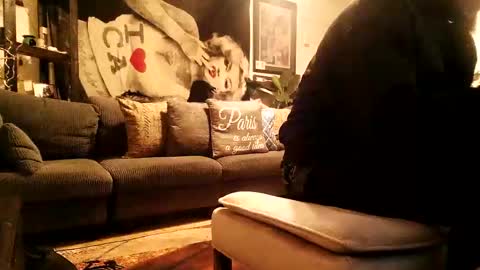 Snapshot of blackriches96 chatting on February 2026 03:58:02 AM blackriches96 online show from February 2026 03:58:02 AM