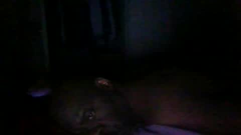 blackteddybear online show from March 2026 12:58:02 AM