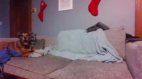 blaw_1321 online show from December 2024 08:36:01 PM