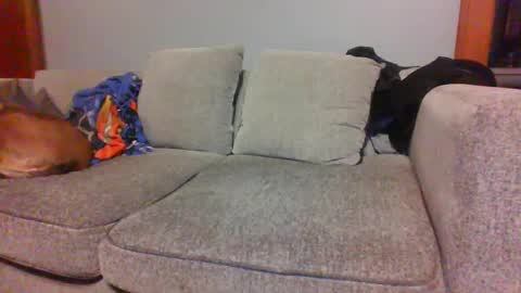 blaw_1321 online show from October 2025 06:22:02 AM