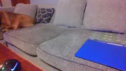 blaw_1321 online show from June 2026 12:35:01 AM