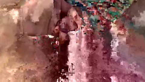 bleez75 online show from February 2026 10:33:02 AM