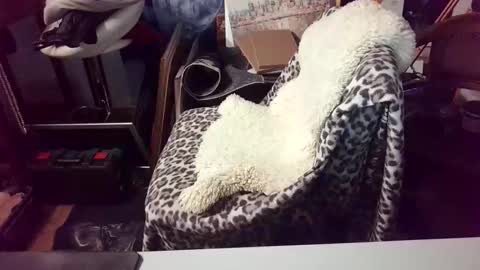 blindsurfer780299 online show from March 2026 05:13:02 AM