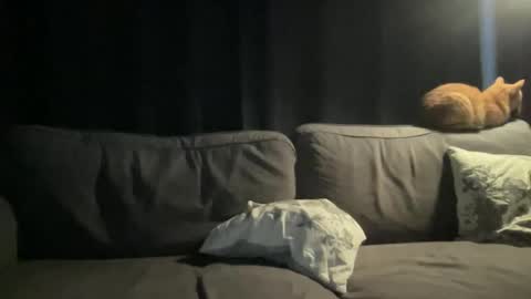 BlIdoL online show from November 2025 06:46:02 AM