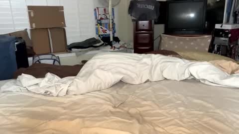 blue_cum_bunny123 online show from March 2026 10:30:01 AM