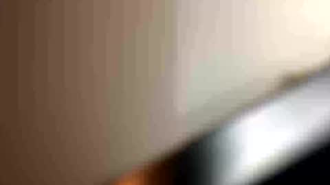 Snapshot of blue_cum_bunny123 chatting on July 2026 04:07:02 AM blue_cum_bunny123 online show from July 2026 04:07:02 AM