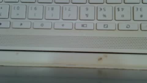 Blurberry online show from August 2026 10:51:02 AM