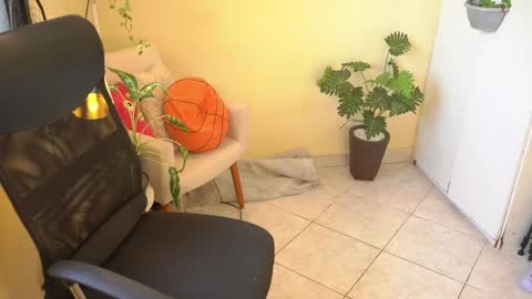 FLORAA online show from January 2025 02:50:02 PM