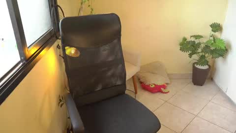 FLORAA online show from February 2025 10:26:02 AM