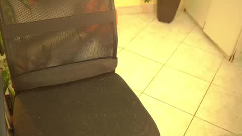 FLORAA online show from March 2025 06:27:01 AM