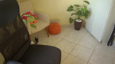 FLORAA online show from March 2025 10:51:01 AM