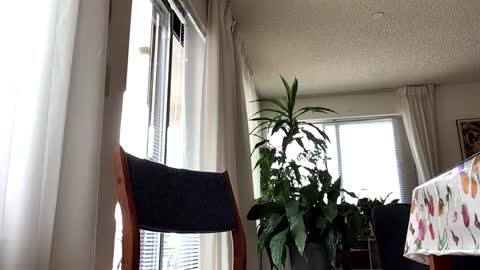 Snapshot of blueyedudeseattle chatting on September 2025 06:42:01 PM Blueyedudeseattle online show from September 2025 06:42:01 PM