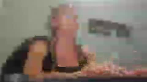 MamaMorgan online show from July 2026 06:59:01 PM