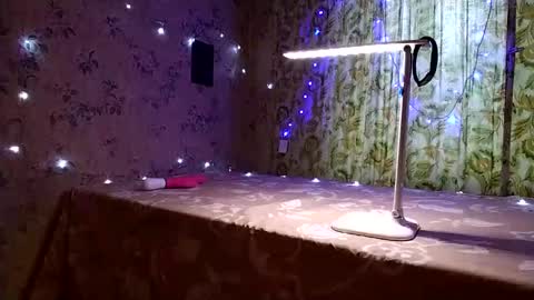 Snapshot of bmwe65 chatting on December 2024 10:28:02 AM Liza and Max online show from December 2024 10:28:02 AM