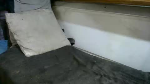 Snapshot of boatfun56 chatting on February 2026 11:00:01 PM boatfun56 online show from February 2026 11:00:01 PM