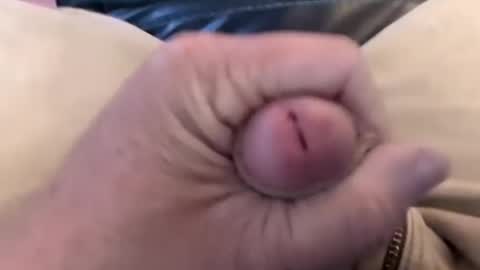 bobrossisalive online show from October 2025 06:47:01 AM