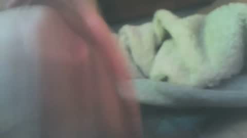 bobsnotcut online show from June 2026 10:56:02 PM